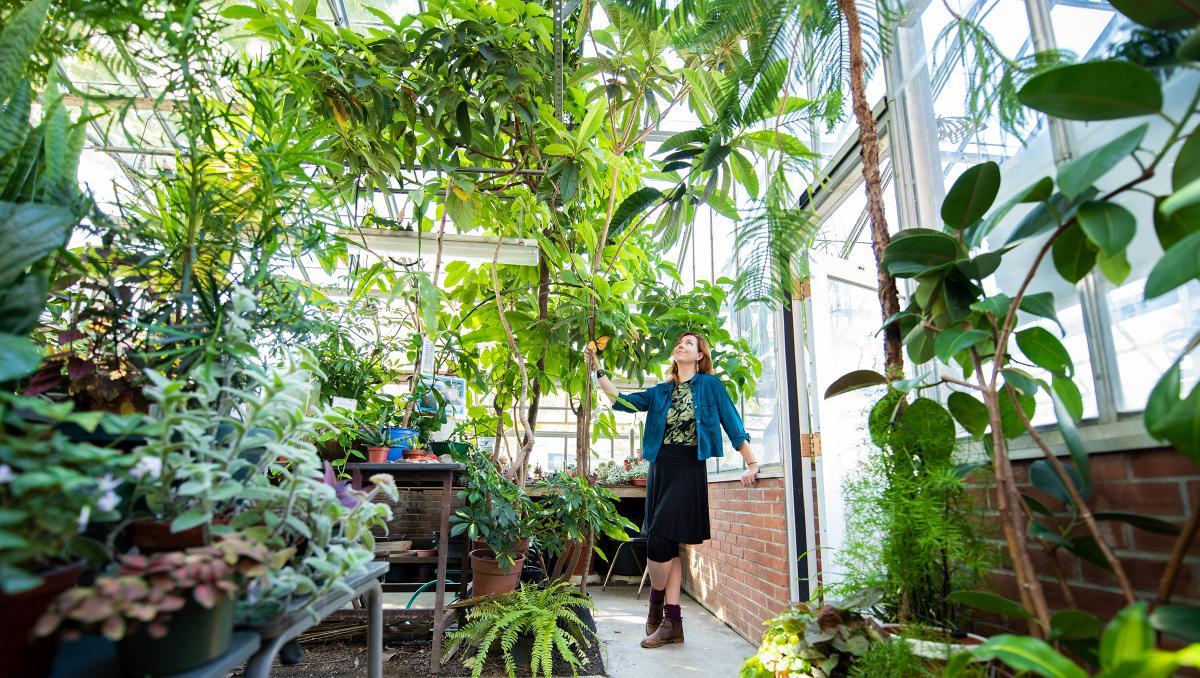 laura in the greenhouse